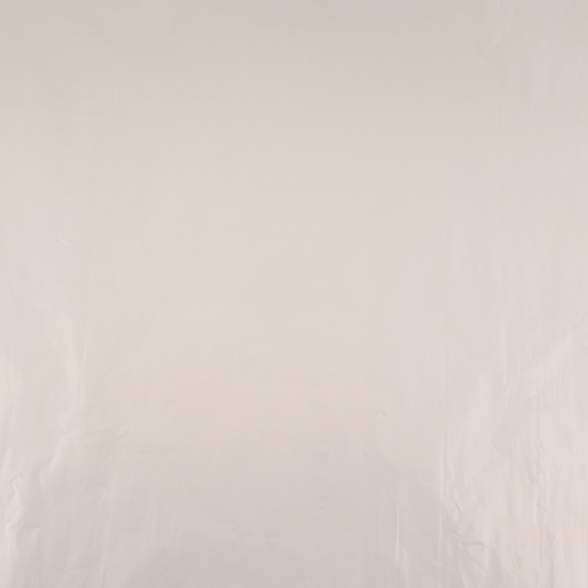 Florist Foil Roll - Plain Ivory close-up