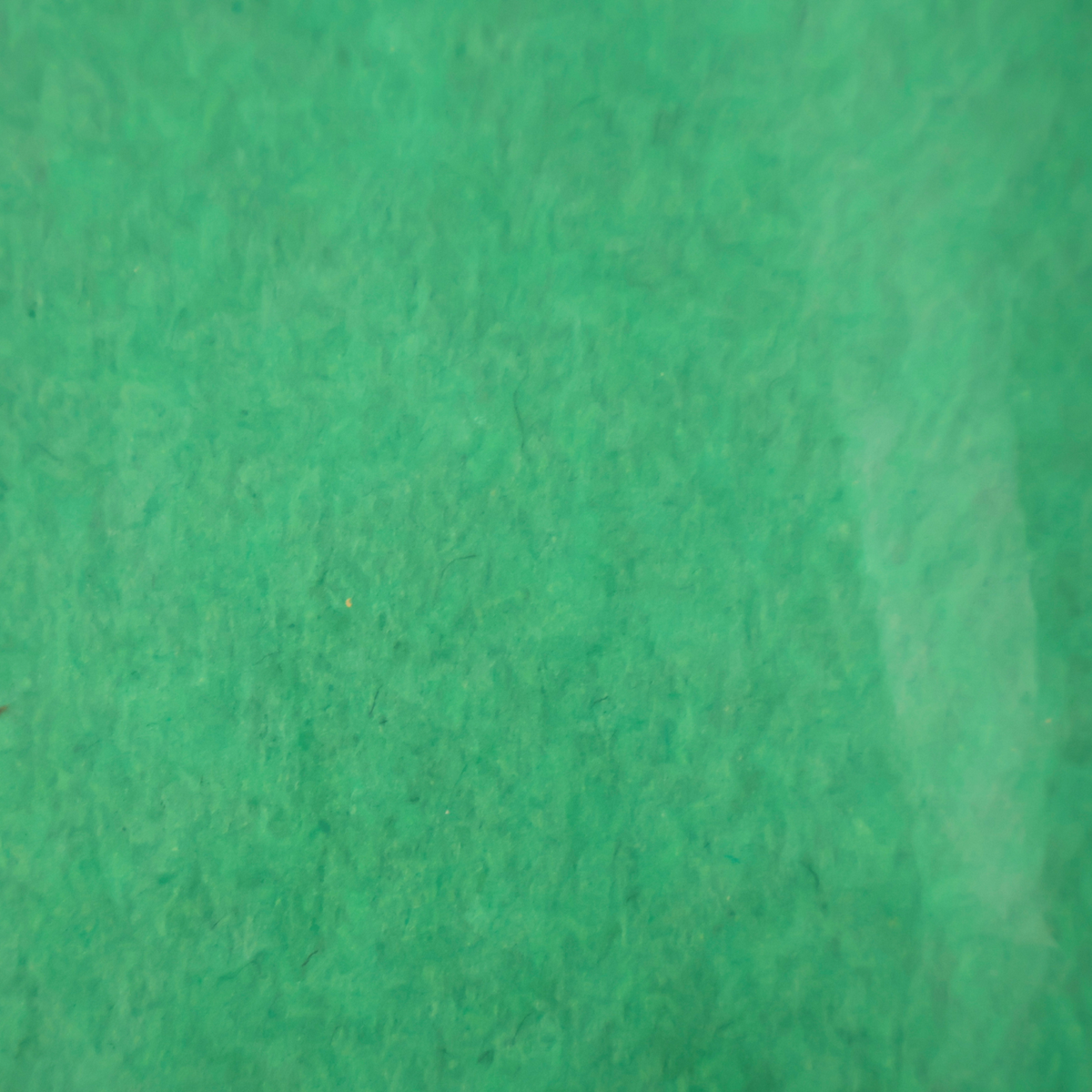 Green Waxed Tissue Sheets